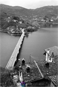 _DSC0225