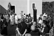 DSC07704